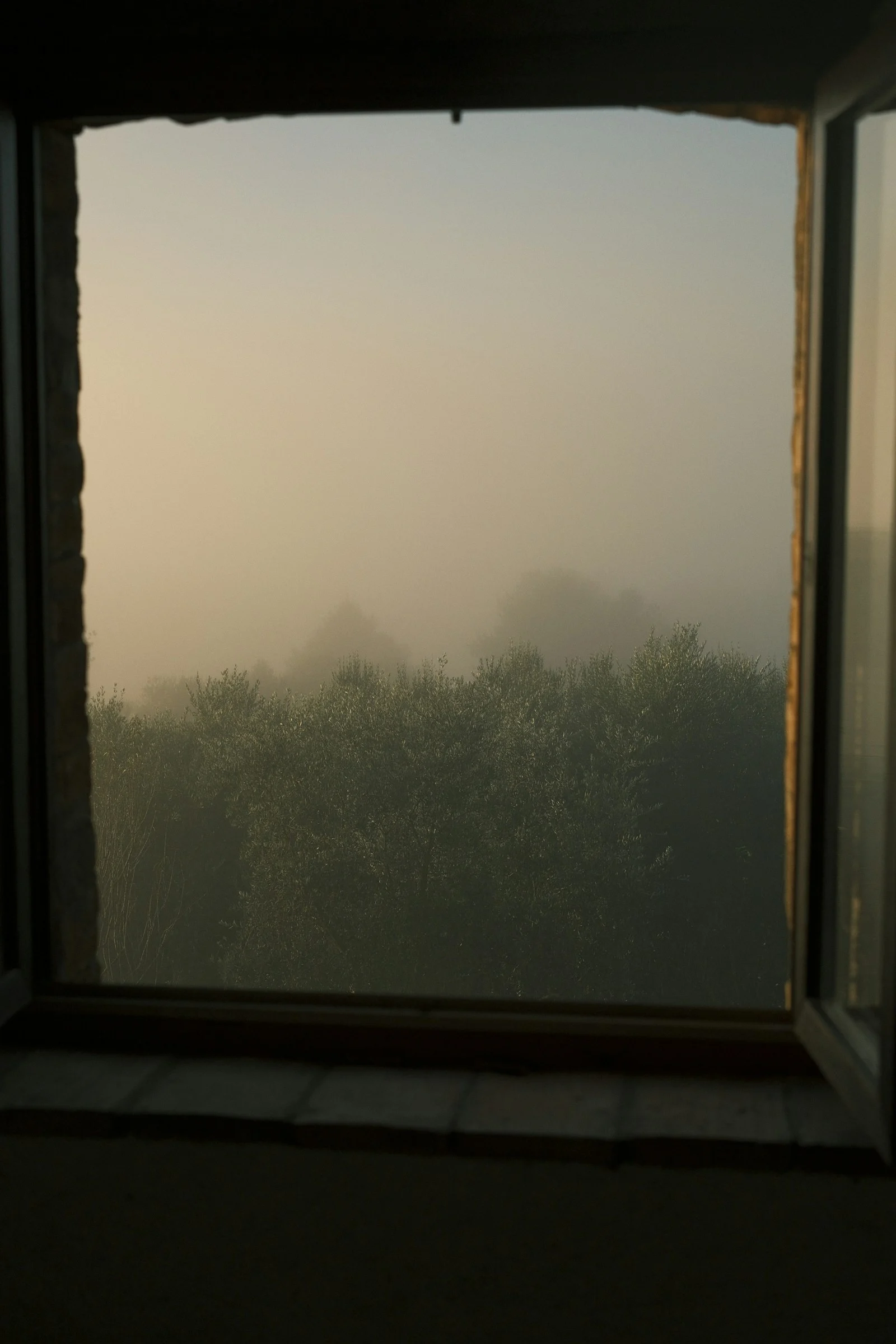 A window with a view of a foggy forest